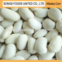 High Quality 45pcs/100g White Kidney Beans